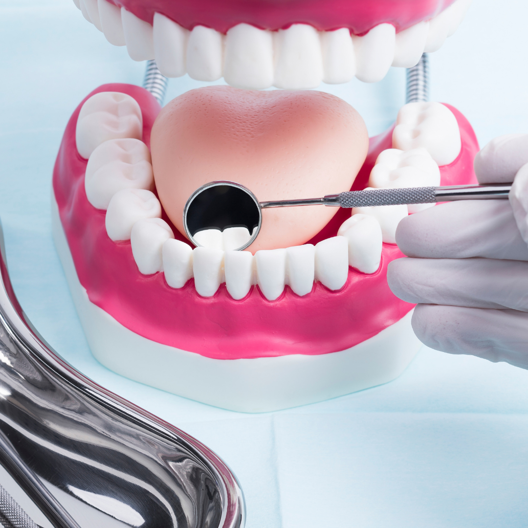 Alignment & Orthodontics